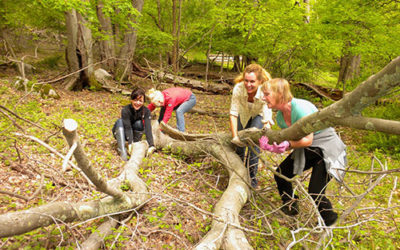 Trail Clean-up & Picnic 2024