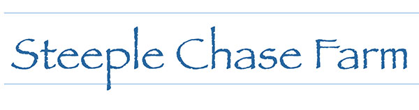 steeple chase logo