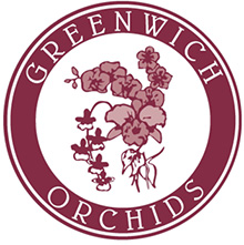 Greenwich Orchids