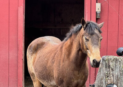 Barn Tour 2026-7